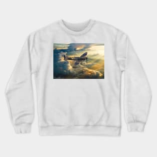 One of the few Crewneck Sweatshirt